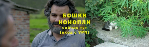 мдпв Мегион
