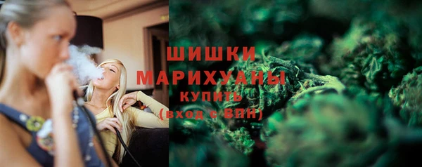 мдпв Мегион