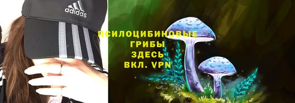 мдпв Мегион