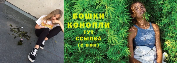 мдпв Ельня