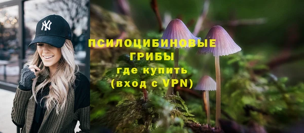 а пвп мука Пересвет